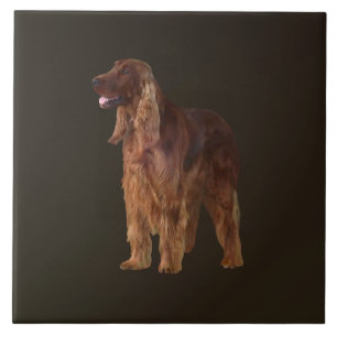 Irish Setter Tile