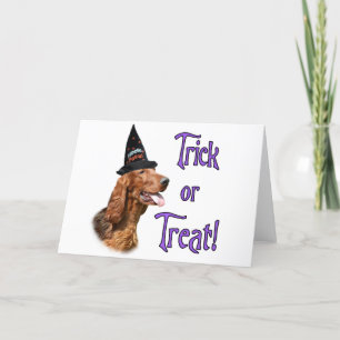 Irish Setter Trick Card