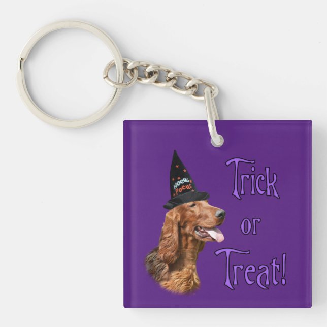 Irish Setter Trick Keychain (Front)