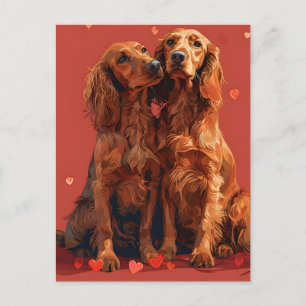 Irish Setter Valentine's Day Postcard