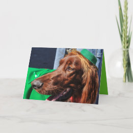 IRISH SETTER WEARING GREEN ST.PATRICK'S DAY HOLIDAY CARD