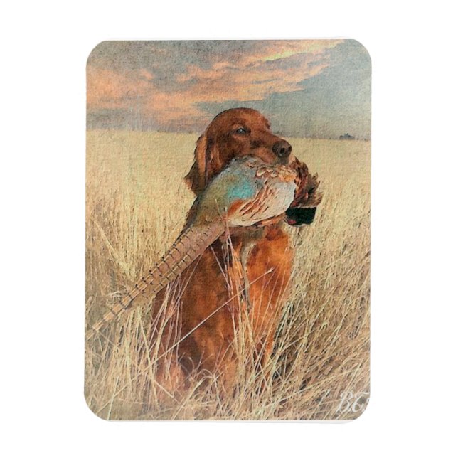 Irish Setter with pheasant    Magnet (Vertical)