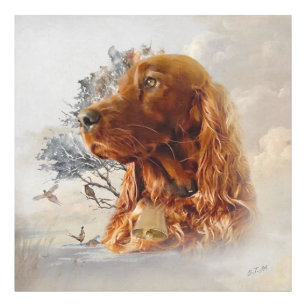 Irish setter with pheasant  photo print