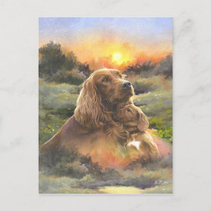 Irish setter with puppy postcard