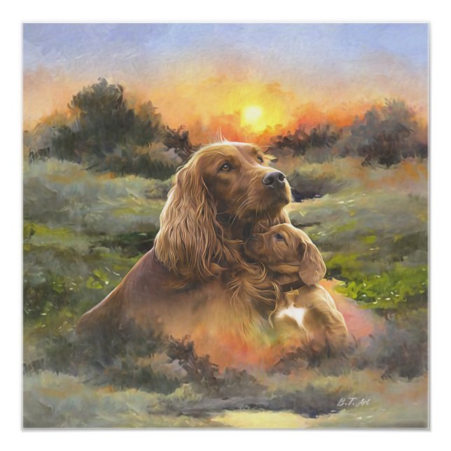 Irish setter with puppy poster (Front)