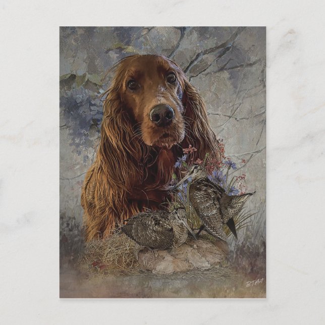 Irish setter with woodcock       postcard (Front)