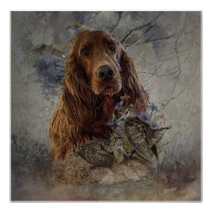 Irish setter with woodcock   poster