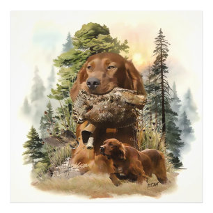 Irish Setter , Woodcock hunting, Art Photo Print