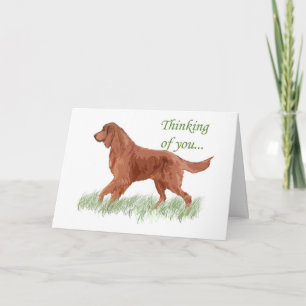 Irish Settter Sympathy card