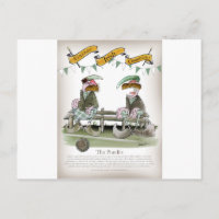 irish sports pundits