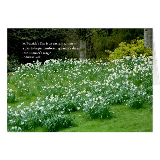 Irish Summer Magic (Front Horizontal)