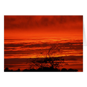 Irish Sunset, Cork, Ireland Cards