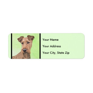 Irish Terrier Painting - Cute Original Dog Art