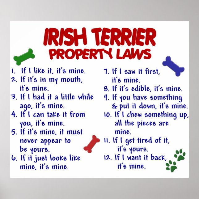 IRISH TERRIER PL2 POSTER (Front)