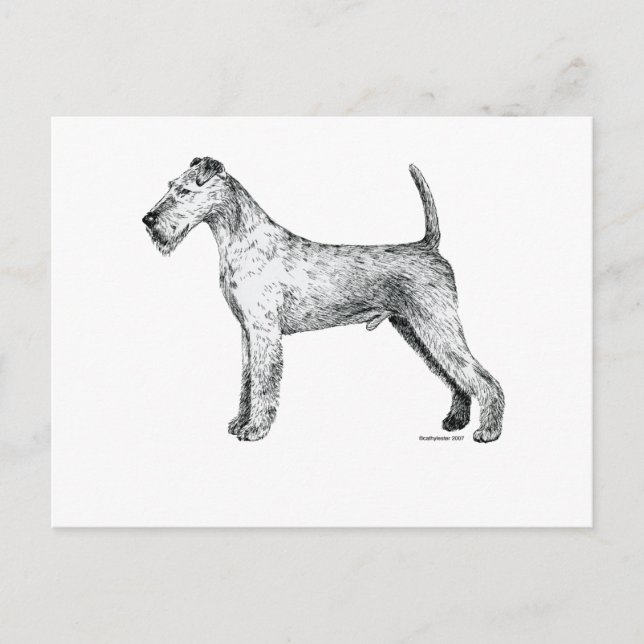 Irish Terrier Postcard (Front)