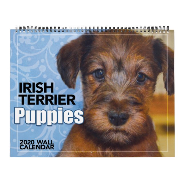 Irish Terrier Puppies 2020 Wall Calendar (Cover)