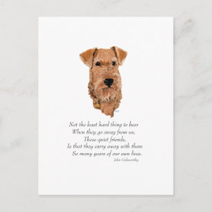 Irish Terrier Rainbow Bridge Postcard