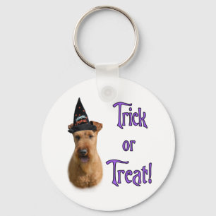 Irish Terrier Trick Keychain