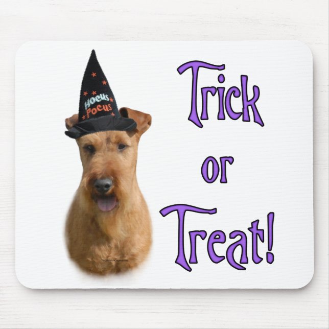 Irish Terrier Trick Mouse Pad (Front)