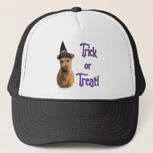Irish Terrier Trick Trucker Hat