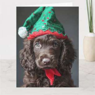 Irish Water Spaniel Elf Puppy Christmas Card