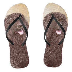 Irish Water Spaniel Painting - Original Dog Art Flip Flops