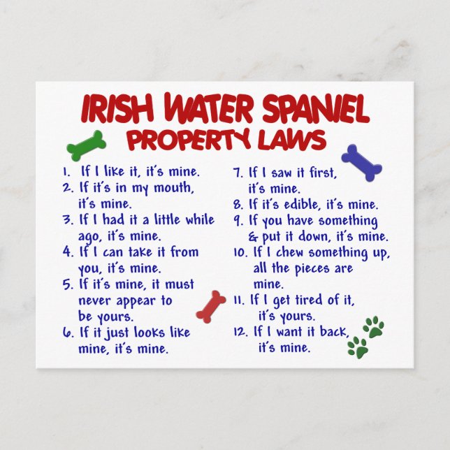 IRISH WATER SPANIEL Property Laws 2 Postcard (Front)