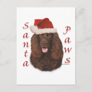 Irish Water Spaniel Santa Paws Holiday Postcard