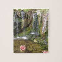 Irish Waterfalls In Blarney Castle Garden Ireland