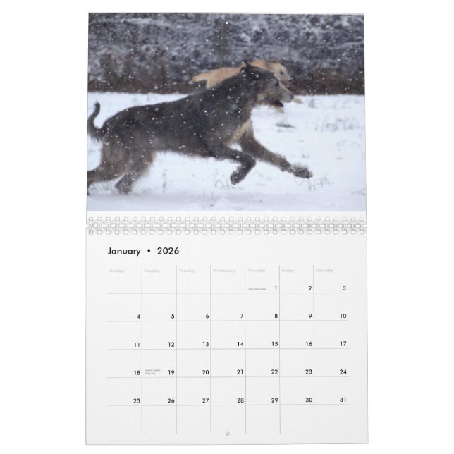 Irish Wolfhound 2012 Calendar (Jan 2026)