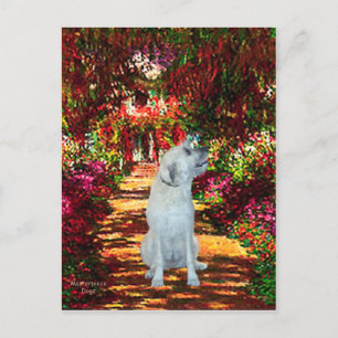 Irish Wolfhound 4 - The Path Postcard