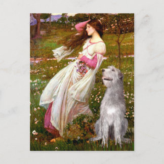 Irish Wolfhound 6 - Windflowers Postcard