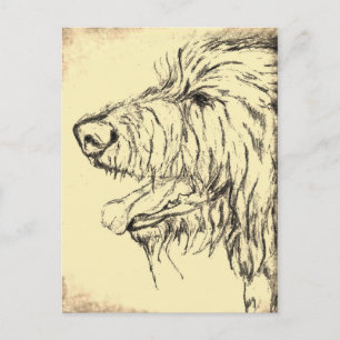 Irish Wolfhound A L'Air Plaisante Carte Postale