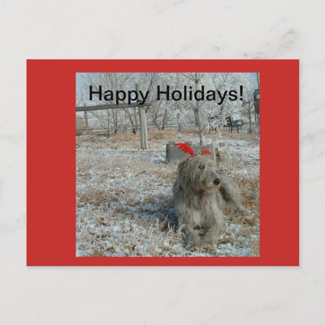 Irish Wolfhound Christmas Card (Front)