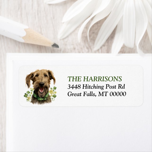 Irish Wolfhound Dog Shamrocks Adresse de retour (En situation)