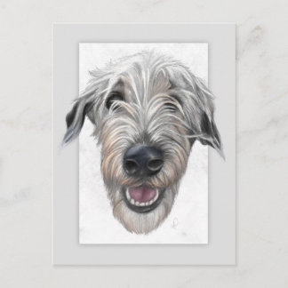 Irish wolfhound hand-drawn portrait postcard
