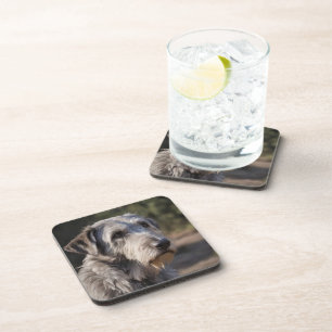 Irish Wolfhound I Am Not Amused, Coaster