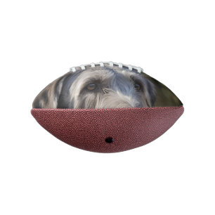 Irish Wolfhound I Am Not Amused, Football