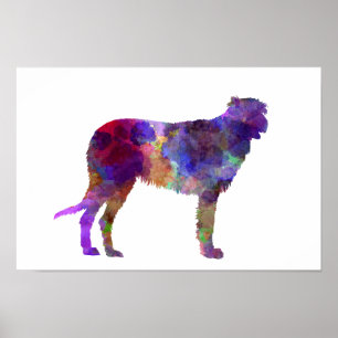 Irish Wolfhound in watercolor Poster