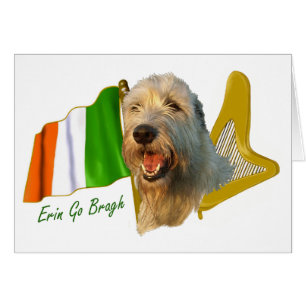 Irish Wolfhound Irish Flag and Harp