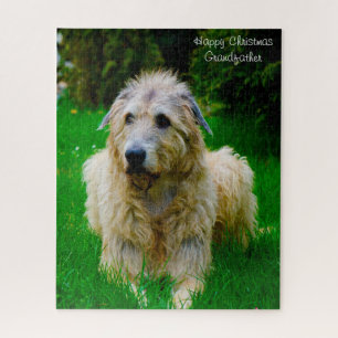 Irish Wolfhound. Jigsaw Puzzle