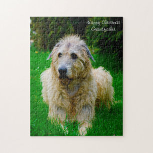 Irish Wolfhound. Jigsaw Puzzle