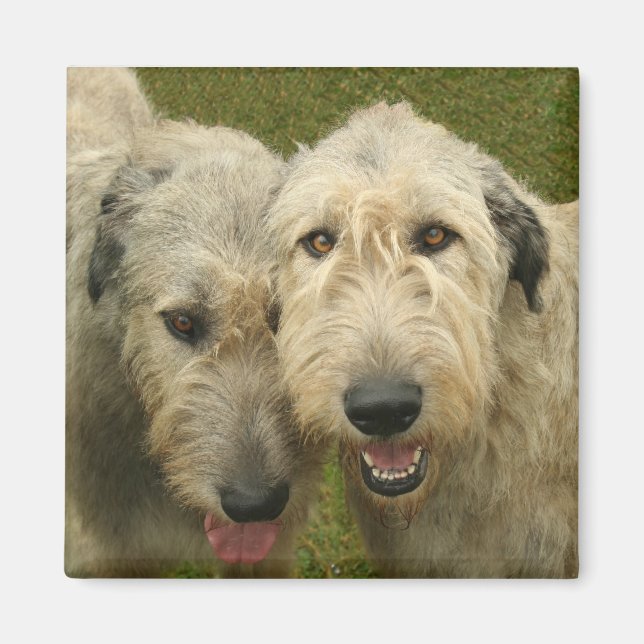 Irish Wolfhound Magnet (Front)