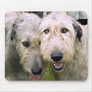 Irish Wolfhound Photo Mouse Pad