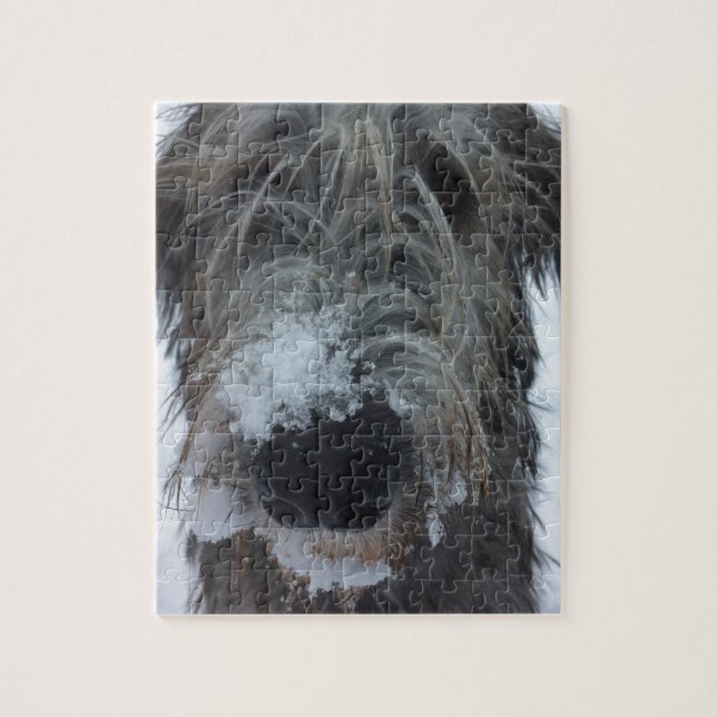 irish wolfhound playing in the snow jigsaw puzzle (Vertical)