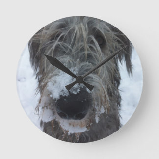 Irish wolfhound playing in the snow round clock