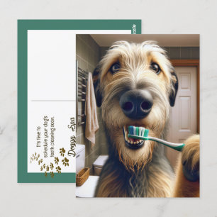 Irish Wolfhound Reminder from Veterinarian Office Postcard