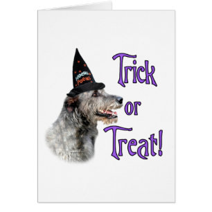 Irish Wolfhound Trick