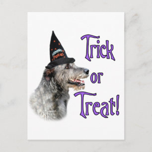 Irish Wolfhound Trick Postcard
