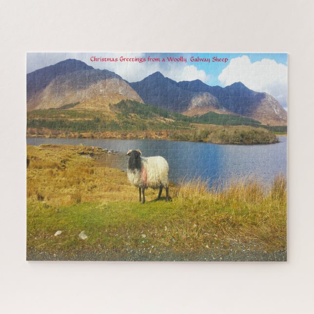 Irish Wooly Sheep Galway Irlande. Jigsaw Puzzle (Horizontal)